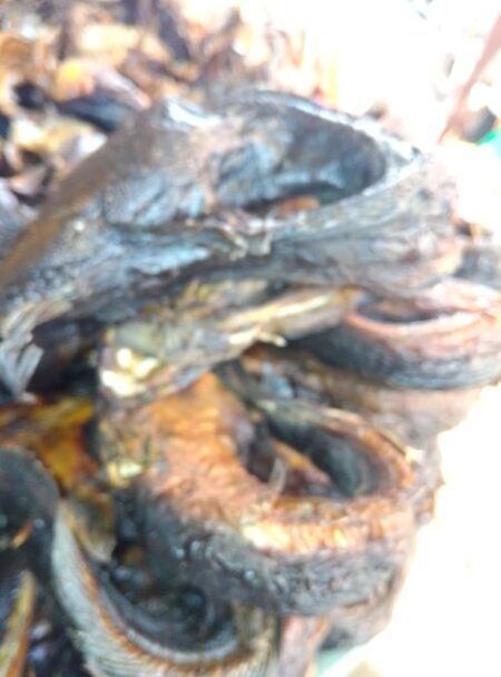 Dry Fish
