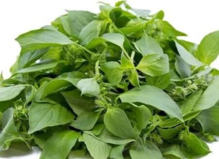 Uziza Leaf