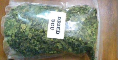Dry ugu leaves