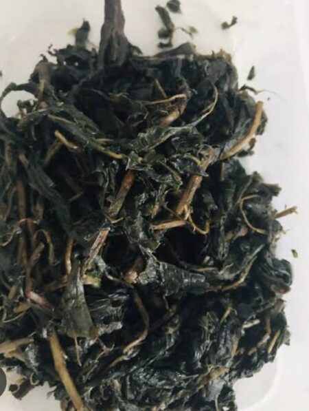 Washed Bitterleaf